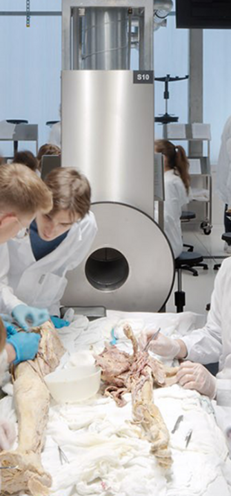 Anatomie - Copyright Paul Ott Anatomie