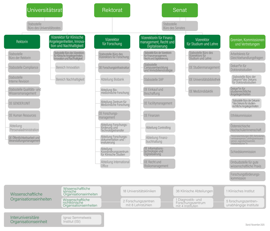 Organigramm Organigramm