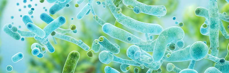 3D-Darstellung von blauen Bakterien im Hintergrund 3D-Darstellung von blauen Bakterien im Hintergrund