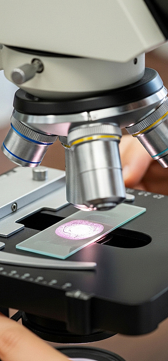 Mikroben schürfen Metalle im All effizienter Mikroben schürfen Metalle im All effizienter