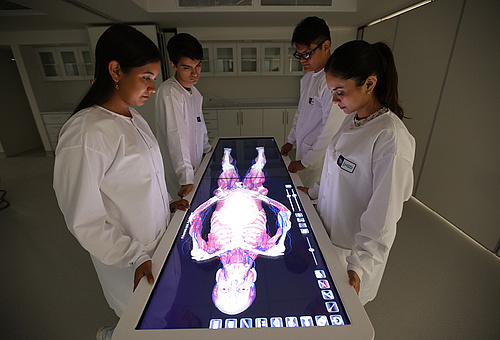 Ausgezeichnete Möglichkeiten an der Universidad San Ignacio de Loyola in Peru