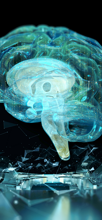 Eine 3D-Modell eines Gehirns Ein computergeneriertes, transparantes 3D-Modell eines Gehirns schwebt über einem glasähnlichen Untergrund vor Schwarzem Hintergrund.