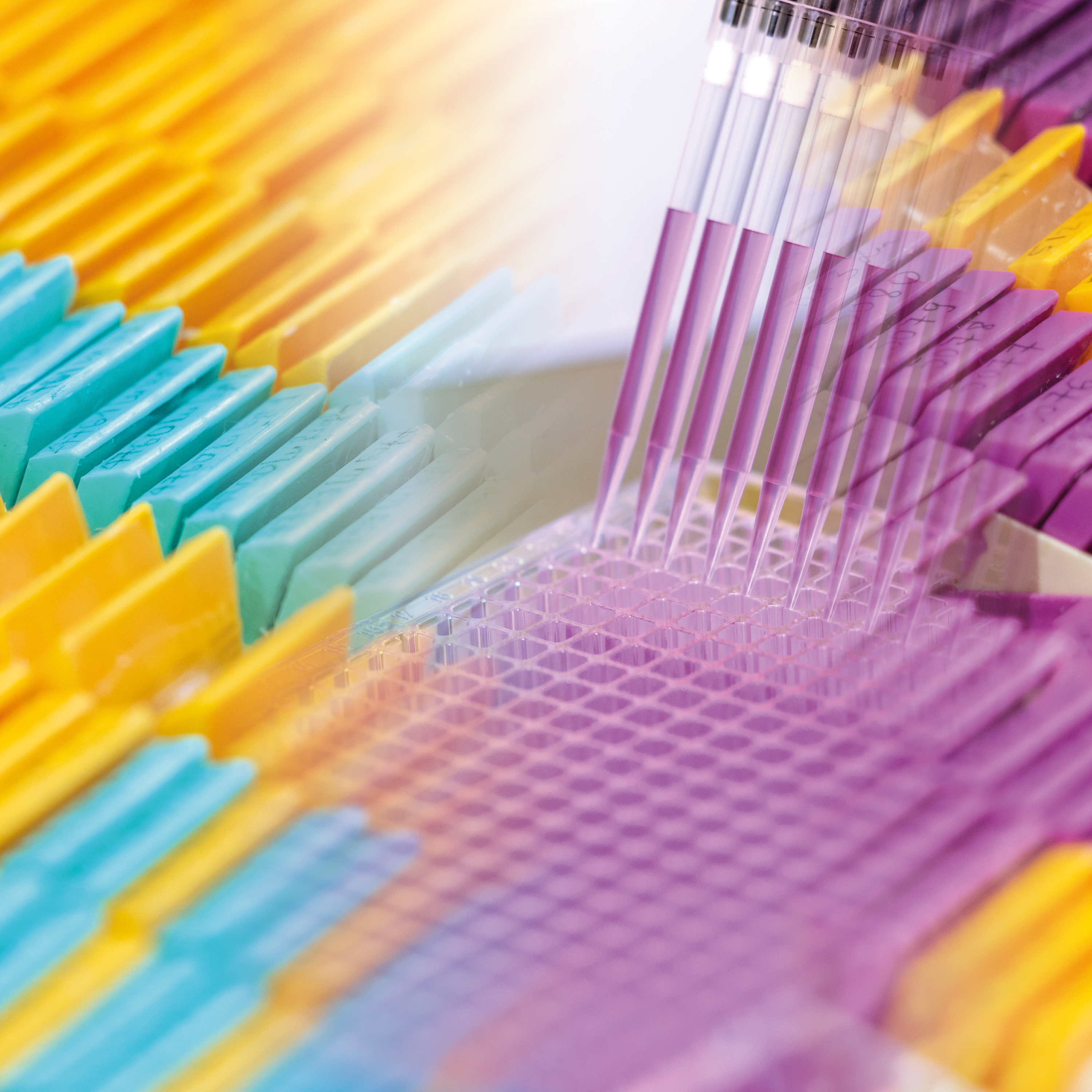 CD-Labor für Lipid-Emulsionen als Paradigmenwechsel in der Chemotherapie CD-Labor für Lipid-Emulsionen als Paradigmenwechsel in der Chemotherapie