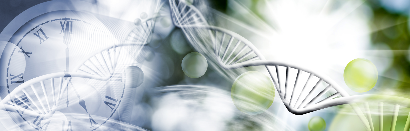 Abstraktes Bild einer Uhr und einer genetischen Kette Abstraktes Bild einer Uhr und einer genetischen Kette